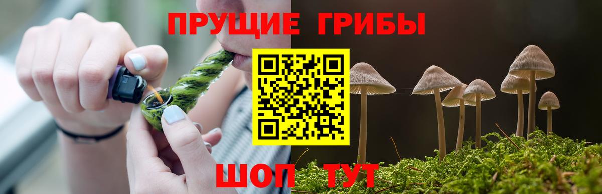 Псилоцибиновые грибы MAGIC MUSHROOMS Учалы